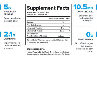 LEGION Recharge Post Workout Drink - Micronized Creatine Monohydrate Natural Post Workout Recovery Drink - Muscle Builder &amp; Recovery Booster Post Workout Supplements (Strawberry Lemonade, 30 Servings)