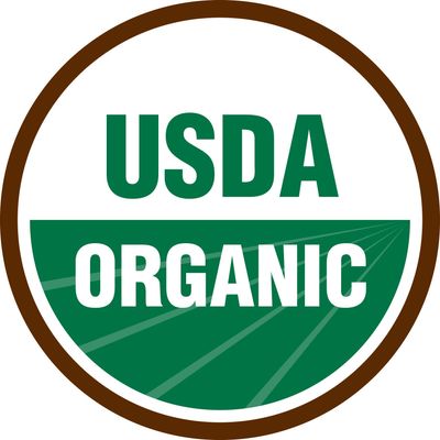 Organic Beet Root Powder | 8 oz or 226g | USDA Organic Approved, Raw and Non GMO | Nitric Oxide Booster, Increases Stamina and Circulation | Vegan | 100% Raw from India, by SHOPOSR(8oz)