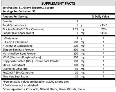 TERRA ORIGIN Healthy Gut Powder (Berry Flavor) |30-Servings with L-Glutamine, Zinc, Glucosamine, Slippery Elm Bark, Marshmallow Root and More!