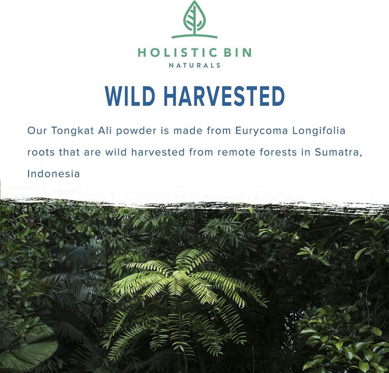 Holistic Bin Pure Indonesian Tongkat Ali Powder Pharmaceutical Grade, No Fillers | Longjack Extract Made from 15+ Year Old Roots (Eurycoma Longifolia) | Wild Harvested in Sumatra (50g)