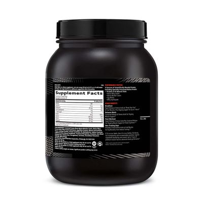 GNC AMP Sustained Protein Blend | Targeted Muscle Building and Exercise Formula | 4 Protein Sources with Rapid & Sustained Release | Gluten Free | Cinnamon Toast | 28 Servings