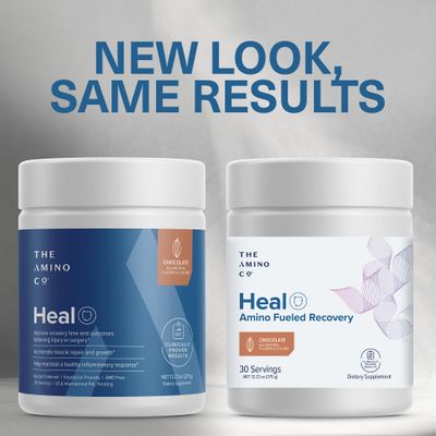 The Amino CO - Heal - Post Workout Recovery Powder with Pure EAA Amino Acids - Muscle Builder for Men and Women with Creatine Monohydrate and Rich Chocolate Flavor-13.23oz