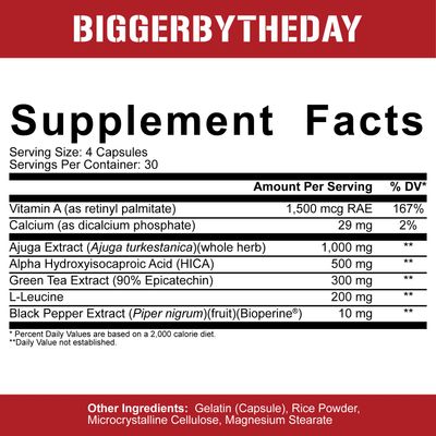 5% Nutrition Rich Piana BiggerByTheDay | Anabolic Muscle Builder, Hardcore Mass Gainer | Turkesterone, HICA, Epicatechin, Leucine | 120 Capsules (30 Servings)