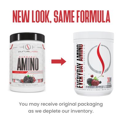 Purus Labs Everyday Amino BCAA Powder | Amino Acids for Muscle Hydration & Recovery | Sugar Free & Gluten Free | 30 Servings (BlackBerry Cherry)