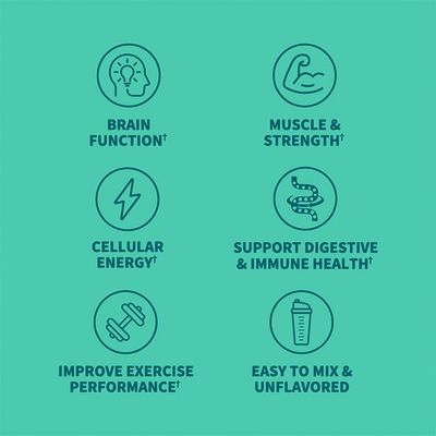 Garden of Life Creatine Monohydrate Powder for Women and Men, Micronized Pre Workout with Probiotics for Muscle, Strength, Performance, Sport Amino Energy, About 60 Easy to Mix Unflavored Servings