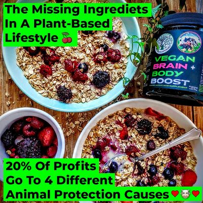 Vegan Brain &amp; Body Boost: The Cherry On Top of A Plant-Based Lifestyle | Working Intelligence | Anti-Aging | Physical Fitness | Vegan Amino Acids - Creatine, Taurine &amp; Beta Alanine | 40 Servings/300g