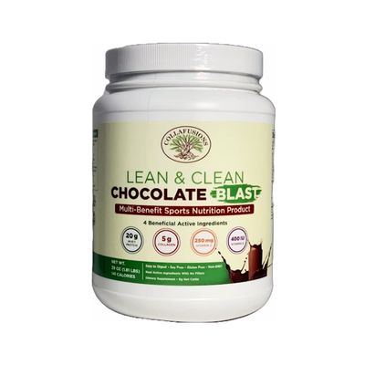 24 Servings, 20g Whey Protein Isolate, 5g Collagen Peptides, Vitamin C &amp; D, Health, Beauty, Recovery, Chocolate