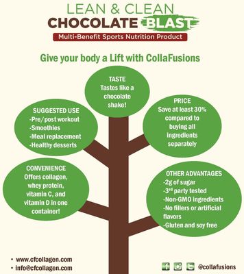 24 Servings, 20g Whey Protein Isolate, 5g Collagen Peptides, Vitamin C &amp; D, Health, Beauty, Recovery, Chocolate