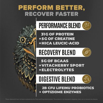 BIRDMAN Falcon Performance Vegan Protein Powder, 31g Protein, 5g Creatine, 5g BCAA, Probiotics, Electrolytes, Pre Workout, Low Carb, Sugar Free & Dairy Free, Plant Based Vanilla Protein -19 Servings
