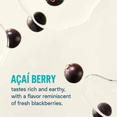 Liquid I.V. Hydration Multiplier - Aa Berry - Hydration Powder Packets | Electrolyte Powder Drink Mix | Convenient Single-Serving Sticks | Non-GMO | 16 Servings (Pack of 12)