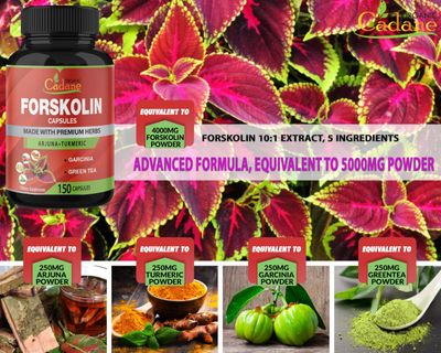 Organic Cadane Forskolin Supplements, 5 Month Supply, 150 Capsules & Turmeric Curcumin, Arjuna, Garcinia Cambogia, Green Tea |Supports Nourishing Diet, Energy Booster |Coleus Forskohlii Extract