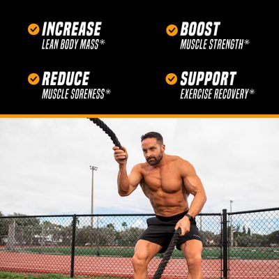 Outwork Nutrition Recovery Drink - Post Workout Recovery Powder &amp; Creatine Monohydrate Muscle Builder for Men &amp; Women - Creatine for Men &amp; Women - After Workout Recovery Drink - Orange Sherbet - 230g