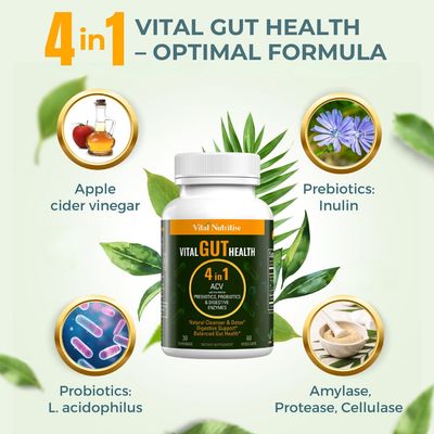 Vital Gut Health 4in1 Formula with Apple Cider Vinegar, Prebiotics &amp; Probiotics, Digestive Enzymes for Strong Immunity Support and Complete Gut and Digestion Support