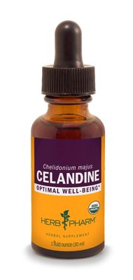 Herb Pharm Certified Organic Celandine Liquid Extract, 1 Fl Oz