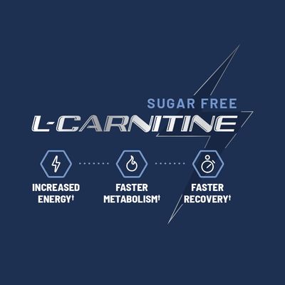 Sugar Free L Carnitine 500mg Gummy - Natural Pre Workout L-Carnitine Supplement - Increased Energy, Faster Recovery, Boost Metabolism, Pre Workout for Women &amp; Men, Blueberry Flavor (60 Gummies)