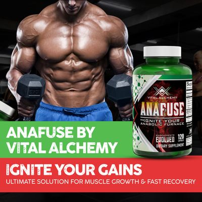 Vital Alchemy Anafuse Turkesterone Supplement for Men, Epicatechin, Quercetin, Black Pepper, and More - Increase Stamina, Lean Muscle Growth &amp; Recovery - USA Made &amp; Non-GMO - 120 Vegan Capsules