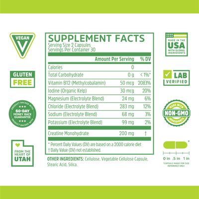 Zhou Fast Support+ Intermittent Fasting Support Supplement, Vitamin B12 for Energy, Electrolytes Magnesium, Chloride, Sodium, Potassium, Creatine Monohydrate, Physical Performance, 60 Veg Caps