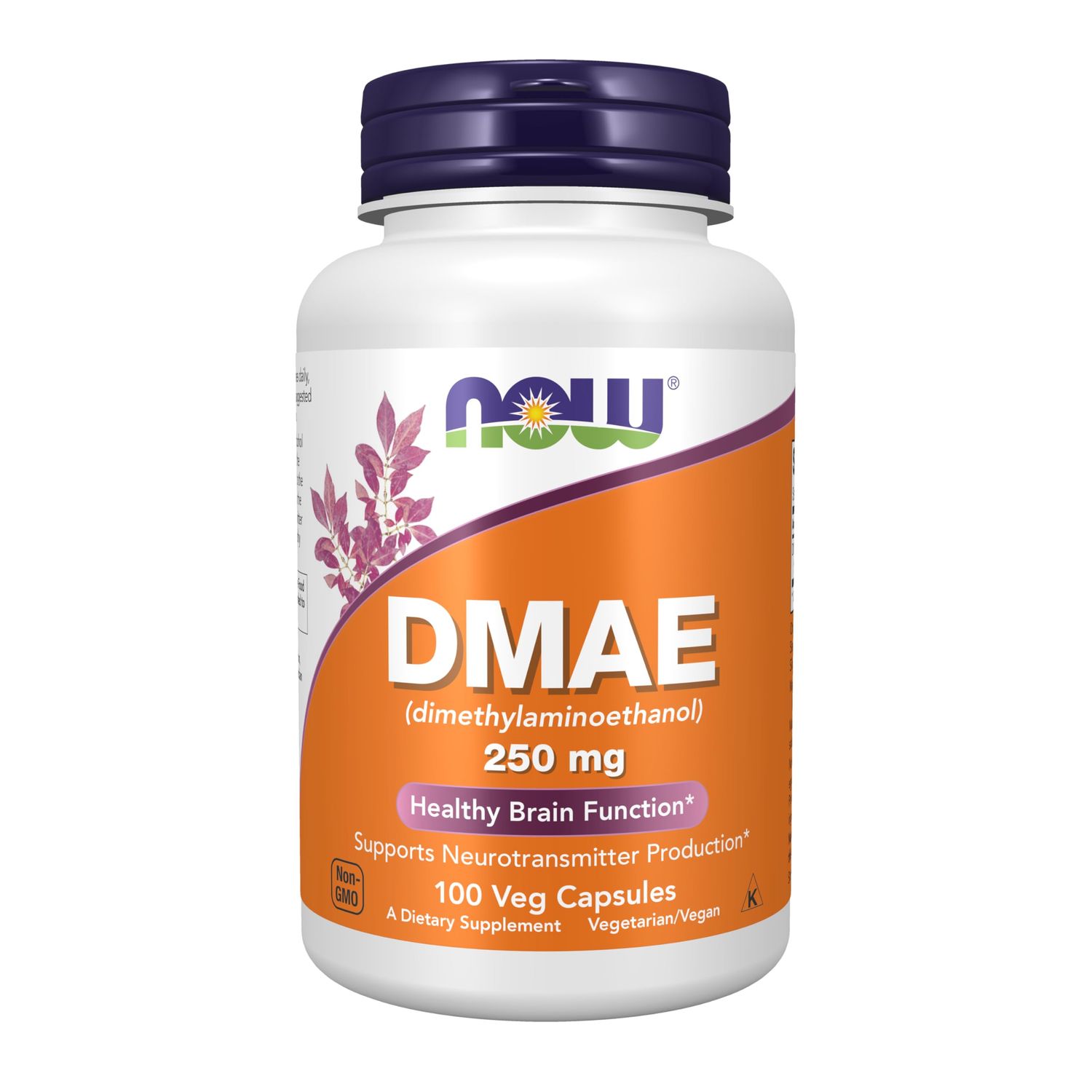 NOW Foods Supplements, DMAE (Dimethylaminoethanol) 250 mg, Healthy Brain Function*, 100 Veg Capsules