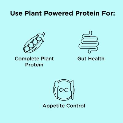 nbpure Earthy Andy Plant Powered Protein, Gluten-Free, Non-GMO, Cruelty Free Pea Protein Powder, Vanilla, 30 Servings