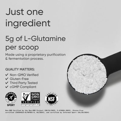 Sports Research L-Glutamine - Workout Recovery, Immune Health &amp; Gut Health Support - 5 G Per Serving - 17.64 Oz