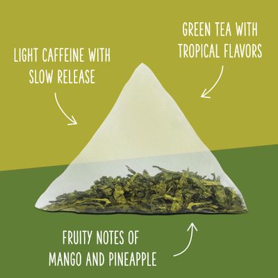 Two Leaves and a Bud Organic Tropical Green Tea, Whole Leaf Green Tea in Compostable Sachets, Sencha Green Tea for Hot or Iced Tea, 15 Count (Pack of 1)
