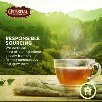 Celestial Seasonings Holiday Herbal Tea, Gingerbread Spice, 18 Count