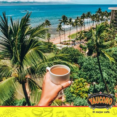 Yaucono Instant Coffee, Medium Roast, Arabica, from Puerto Rico, Glass Jar, 8 Ounce (Pack of 2)