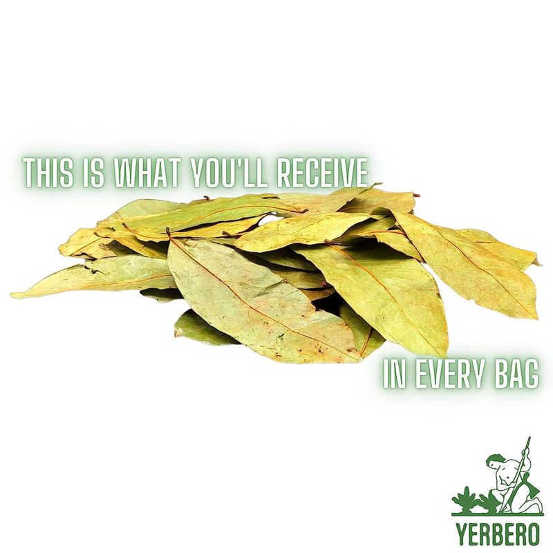 Yerbero - Whole Dried Graviola Soursop Leaves (4 oz - 330+ Leaves Per Bag) Hoja De Guanabana, 100% All Natural Delicious Fresh Tea | From Mexico | Premium Wildcrafted Quality.