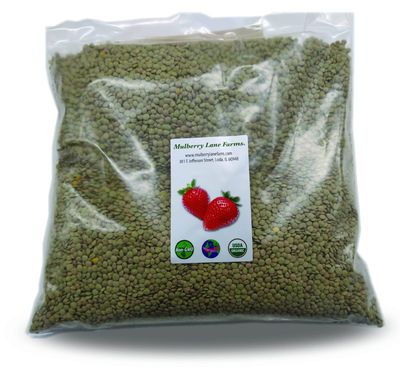 Green Lentils 5 Pounds Whole USDA Certified Organic, Non-GMO, Bulk, Product of USA, Mulberry Lane Farms