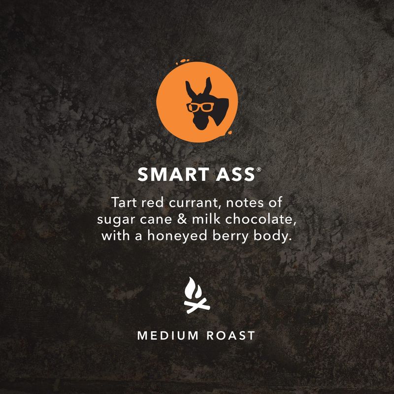 Kicking Horse Coffee, Smart Ass, Medium Roast, Whole Bean, 2.2 Pound - Certified Organic, Fairtrade, Kosher Coffee