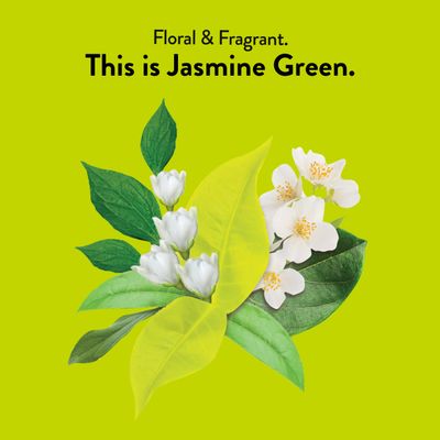 Choice Organics - Organic Jasmine Green Tea (1 Pack) - Green Tea Scented with Jasmine Blossoms - Fair Trade - Compostable - Contains Caffeine - 16 Organic Green Tea Bags