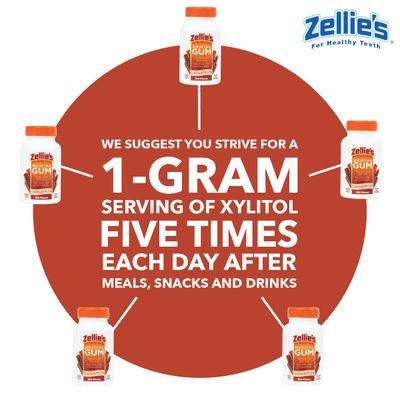 Zellie's | 100% Xylitol Sugar Free Cinnamon Chewing Gum | Cinnamon Flavor (100 Count (Pack of 1))