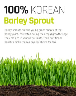 Ssanggye Barley Sprout Tea 0.7g x 40 Tea Bags, Premium Korean Herbal Tea Hot Cold Soft Light Sweet Taste Teabag Loose Leaf Caffeine Free Herb Vegan Fiber 4 Seasons Great Daily Drink Made in Korea