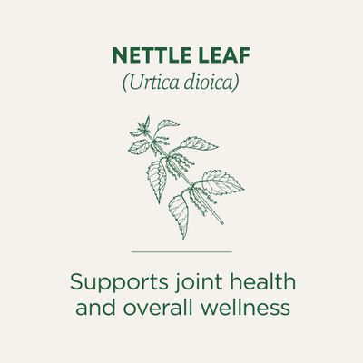 Traditional Medicinals Organic Nettle Leaf Herbal Tea, Supports Joint Health &amp; Overall Wellness, (Pack of 1) - 16 Tea Bags