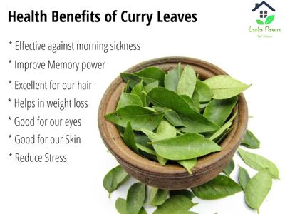 Dried Curry Leaves 0.7 Oz (20 g) Whole Herbs Leaf for Asian Spices Food Organic Natural Air Dried Kari Patta Aromatic Flavors - Lanka Flavors Feel Different