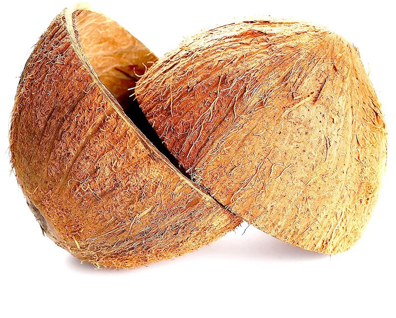 KC Creations Two Coconut Shell Halves