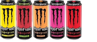 Monster Rehab Variety Pack 15.5 ounce : Lemonade, Orangeade, Peach Tea, Raspberry Tea, Strawberry Lemonade (Pack of 15)