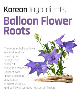 Ssanggye Bellflower Tea 0.7g x 40 Tea Bags, Premium Korean Herbal Tea Caffeine Free Dried Roasted Herb Refreshing 4 Seasons Sweet Daily Drink Tea