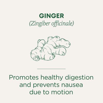 Traditional Medicinals Tea, Organic Ginger, Healthy Digestion, Pleasantly Spicy &amp; Warming, 16 Tea Bags