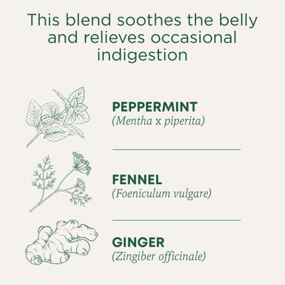 Traditional Medicinals Organic Belly Comfort Peppermint Tea, 16 Count, Pack of 6