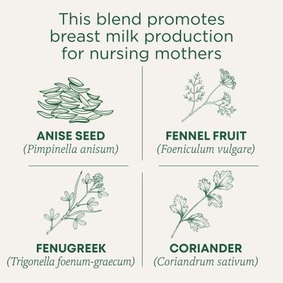 Traditional Medicinals - Organic Mother's Milk Herbal Tea (6 Pack) - Promotes Healthy Lactation in Breastfeeding Moms - 96 Tea Bags Total