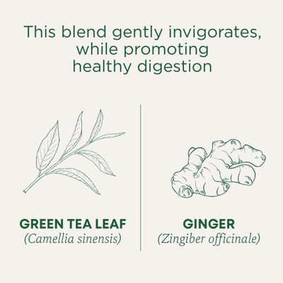 Traditional Medicinals Tea, Organic Green Tea Ginger, Promotes Healthy Digestion, 96 Tea Bags (6 Pack)