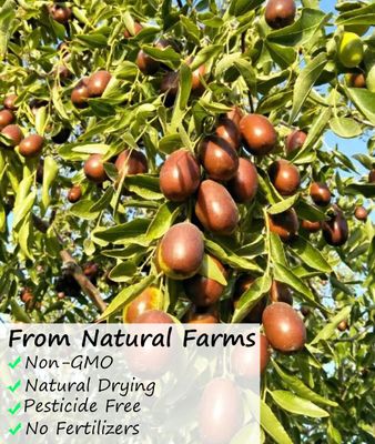 Premium Jujube Red Dates 1LB/453g,Selected Dried Fruit,Big &amp; Delicious,100% Natural