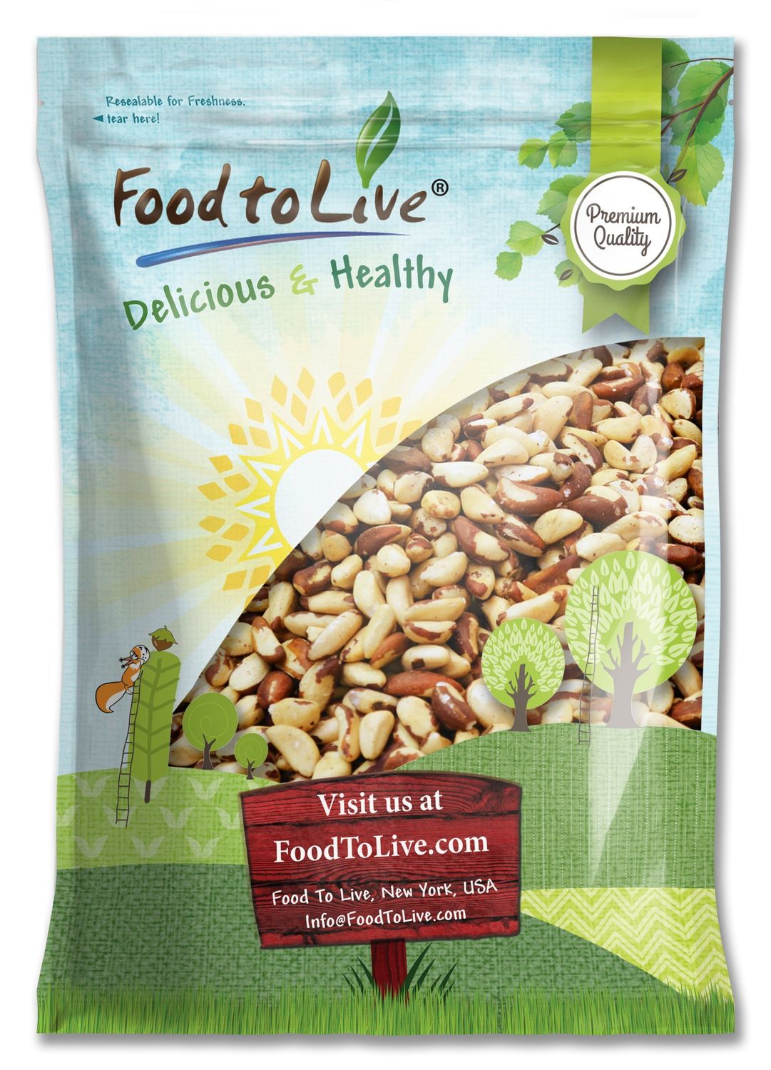 Food to Live - Brazil Nuts, 10 Pounds Non-GMO Verified, Raw, Whole, No Shell, Unsalted, Kosher, Vegan, Keto and Paleo Friendly, Bulk, Good Source of Selenium, Low Sodium and Low Carb Food.