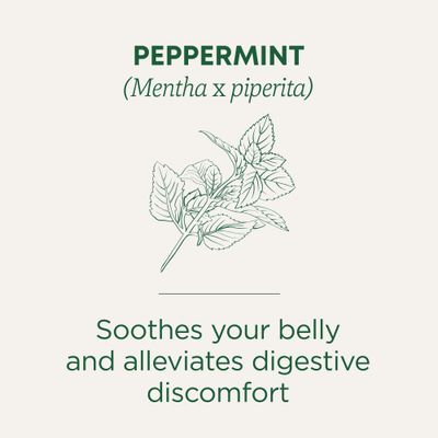 Traditional Medicinals Tea, Organic Peppermint, Soothes Your Belly, Refreshing &amp; Minty, 16 Tea Bags