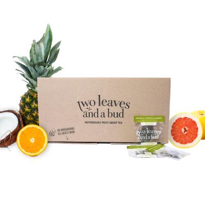 Two Leaves and a Bud Organic Tropical Green Tea, Whole Leaf Green Tea in Compostable Sachets, Sencha Green Tea for Hot or Iced Tea, 100 Count (Pack of 1)
