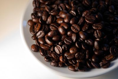 Passalacqua Cremador Whole Bean - 70% Arabica Premium Medium/Dark Roast (1kg / 2.2lbs)