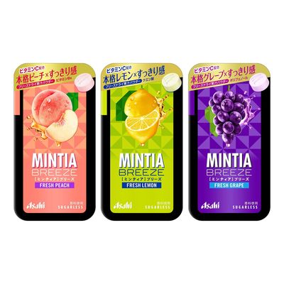 Mintia Breeze Assortment 0.8oz 3Types Japanese Mint Tablet Ninjapo