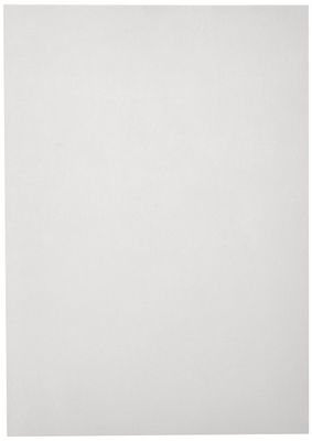Oasis Supply 20 Piece Premium Wafer Paper Pack for Cake or Food Decorating, 8 x 11