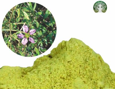 AYURVEDASHREE Fagonia cretica Powder 100 Gm | Dhamasa | Gluten Free | Non GMO | Vegan